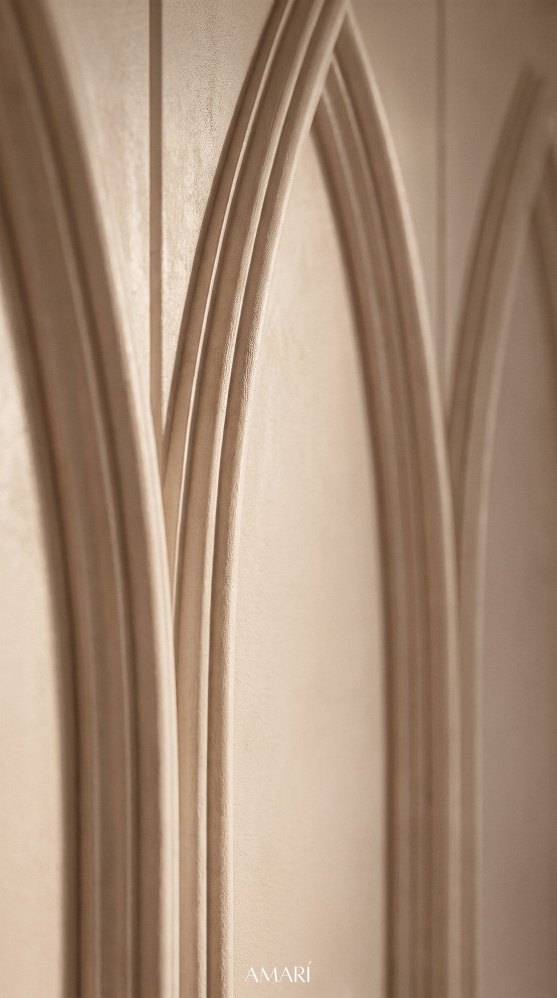 Olive Branch — image 5